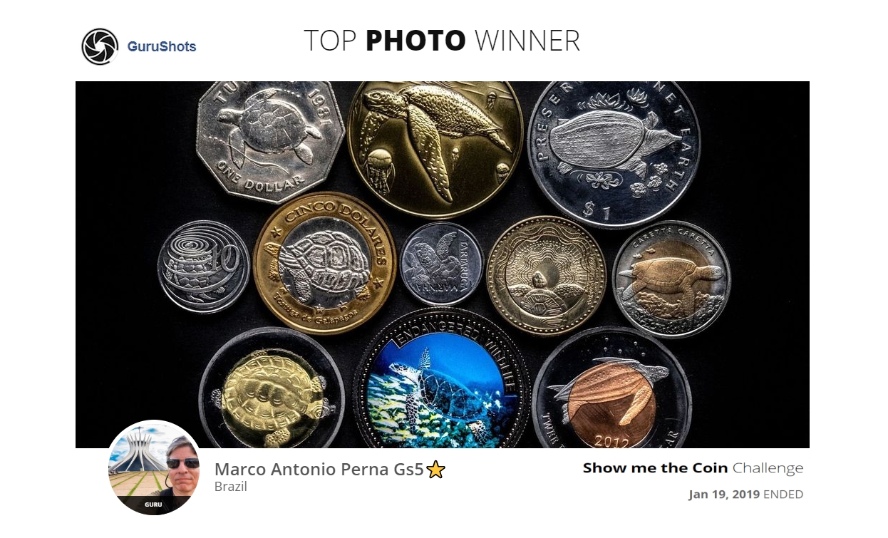 Show me the Coin