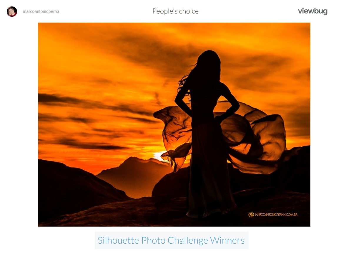 https://www.viewbug.com/challenge/silhouette-photo-challenge-by-victoriarichardson